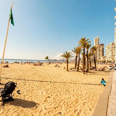Cactus * Benidorm